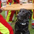 Superhelden-Kinderfest mit viel Regen 1.6.2025