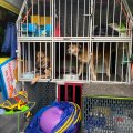 Superhelden-Kinderfest mit viel Regen 1.6.2025