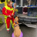 Superhelden-Kinderfest mit viel Regen 1.6.2025
