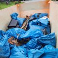 World Cleanup Day 2021